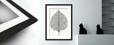 Item Picture