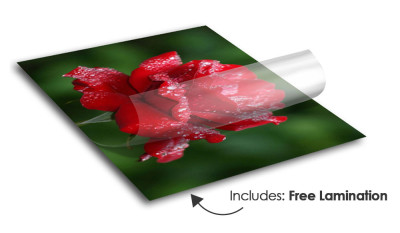 Floor Graphics